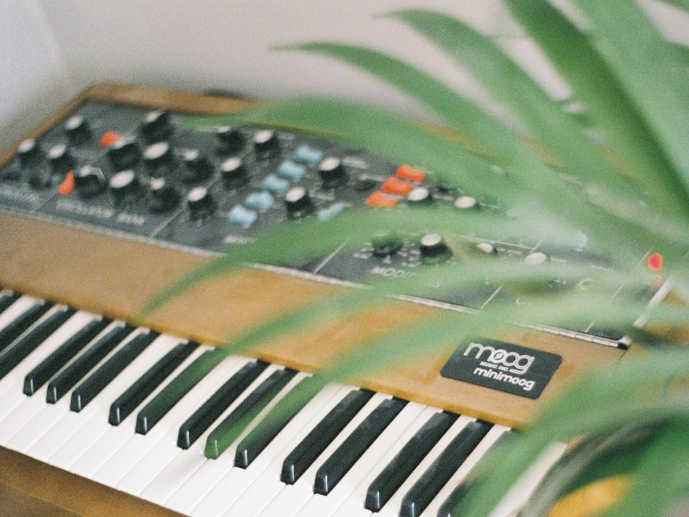 Mini Moog Model D