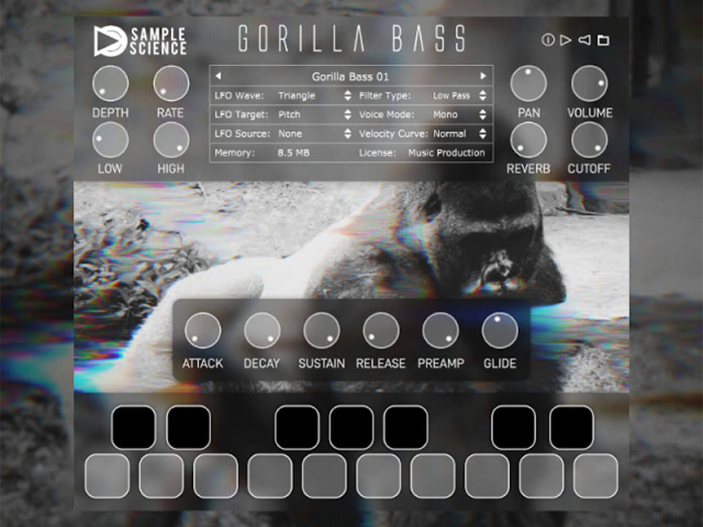 SampleScience Gorilla Bass